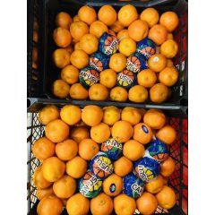 Mandarin