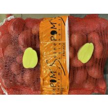 Burgonya Mozart (15kg)