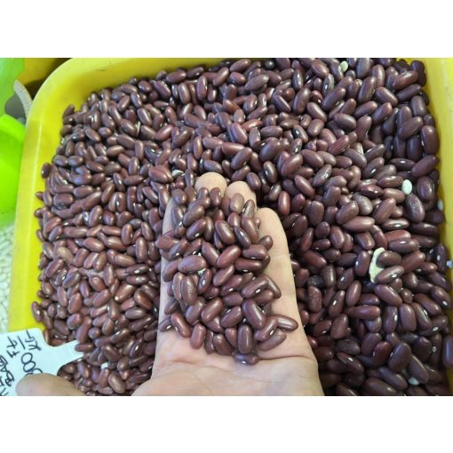 Chilibab