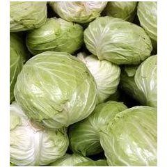 Fejeskáposzta (lapos)