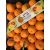 Mandarin extra