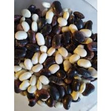 Salátabab extra nagy