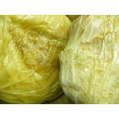 Savanyított káposztafej