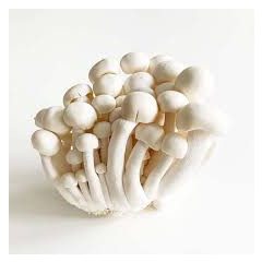 Shimeji gomba fehér