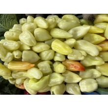 TV paprika II. osztály